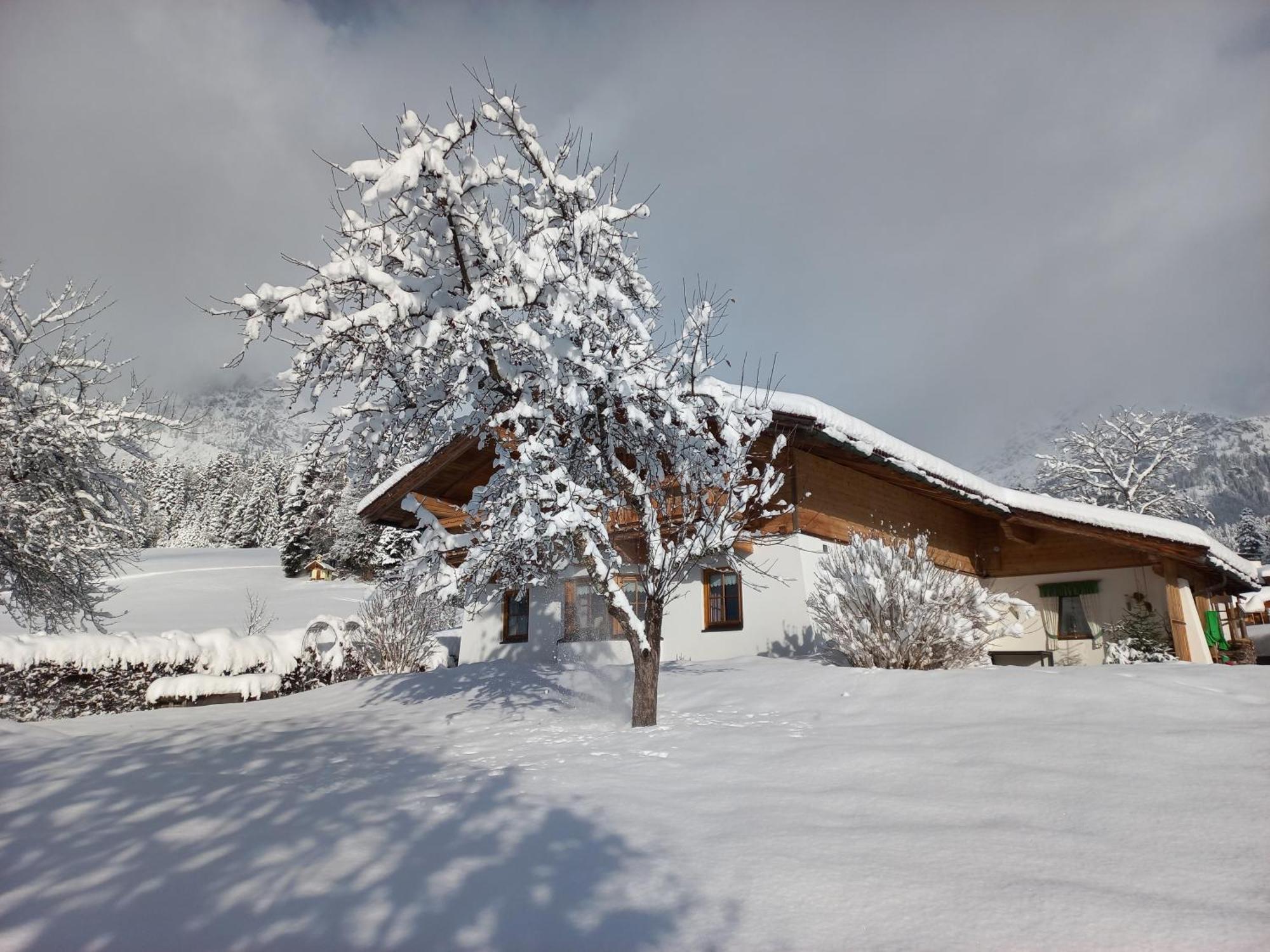 Chalet Glücklich sein... Ellmau Exterior foto